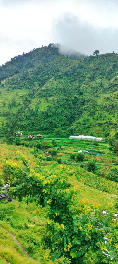 Airy Madhouse Hotel Mussoorie Buitenkant foto